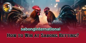 How to Win at Sabong Betting