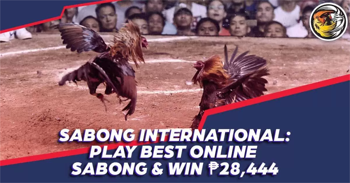 Sabong International Play Best Online Sabong Win