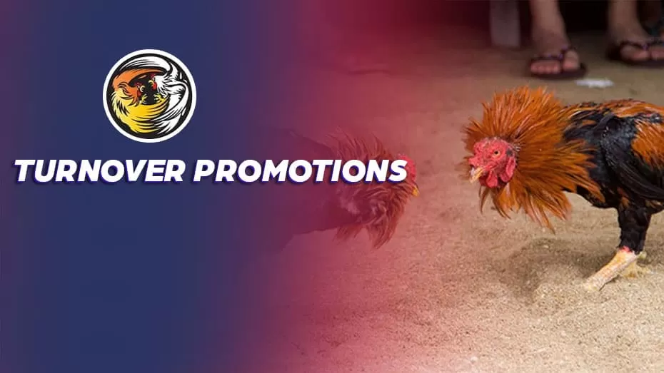 Sabong International: Turnover Promotions